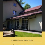 zdj02